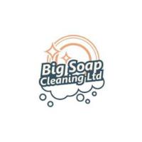 Big Soap Cleaning image 1